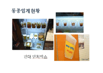 테이크아웃 중국음식점 사업계획-12