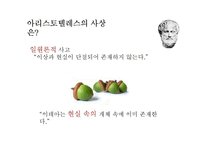 [정치학] 플라톤과 아리스토텔레스의 이상국가론-12