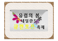 의성 산수유 축제 발전방안-네덜란드 큐켄호프 꽃 축제 성공사례 바탕-4