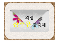 의성 산수유 축제 발전방안-네덜란드 큐켄호프 꽃 축제 성공사례 바탕-14