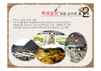 의성 산수유 축제 발전방안-네덜란드 큐켄호프 꽃 축제 성공사례 바탕-16