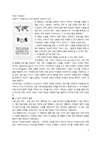 TOMS 슈즈의 성공요인 분석-4