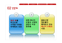 에너지드링크 레드불 기업분석-8