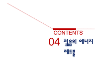 에너지드링크 레드불 기업분석-14