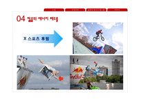 에너지드링크 레드불 기업분석-18