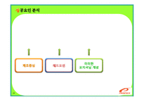 프로스펙스의 위기와 브랜드 마케팅 전략-19