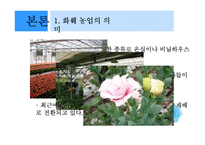 한국농업의 세계화-화훼 수출 현황과 발전방안-6
