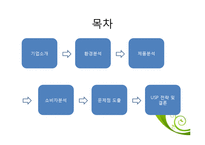 피죤 리포지셔닝 전략-2