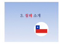 락앤락의 칠레시장 진출과 현지화방안-13