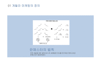 게릴라 마케팅 유형 및 활용방안-4