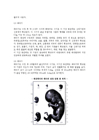 [임신] 임신의 성립과 증후, 태아의 발달단계, 태내발달의 영향요인, 태교-4