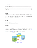 [A+ 레포트] 중화 적정(Neutralization Titration)의 원리와 산염기 적정 실험 보고서-2