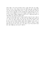 김훈의 칼의 노래를 읽고-2
