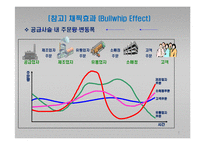 e-비즈니스 공급사슬관리-6