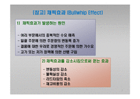 e-비즈니스 공급사슬관리-7
