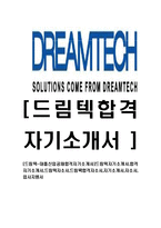 [드림텍-대졸신입공채합격자기소개서]드림텍자기소개서,합격자기소개서,드림텍자소서,드림택합격자소서,자기소개서,자소서,입사지원서-1