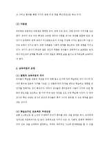 [A+ 레포트, 아동발달] 레지오 에밀리아 접근법의 특징과 유아교육에 대한 시사점-3