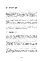 한국 재정적자 문제점과 해결방안 보고서-6