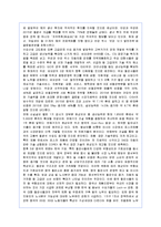 [국제경영] 포스코의 글로벌경영 성공사례-9