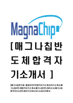 [매그나칩반도체-품질관리부문합격자기소개서]자기소개서,매그나칩반도체합격자기소개서,매그나칩반도체자소서,매그나칩합격자소서,반도체자기소개서,자소서-1
