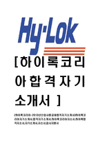 [하이록코리아-2013년신입사원공채합격자기소개서]하이록코리아자기소개서,합격자기소개서,하이록코리아자소서,하이록합격자소서,자기소개서,자소서,입사지원서-1