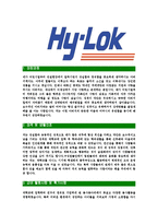 [하이록코리아-2013년신입사원공채합격자기소개서]하이록코리아자기소개서,합격자기소개서,하이록코리아자소서,하이록합격자소서,자기소개서,자소서,입사지원서-3