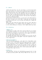 [캐릭터디자인] 캐릭터디자인의 분류와 성공사례-2