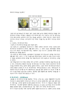 [캐릭터디자인] 캐릭터디자인의 분류와 성공사례-16