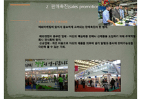 [국제마케팅] 국제촉진전략과 기업사례-17