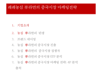 농심 신라면의 중국시장 마케팅전략-1