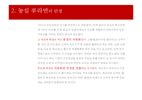 농심 신라면의 중국시장 마케팅전략-3