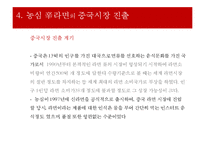 농심 신라면의 중국시장 마케팅전략-5