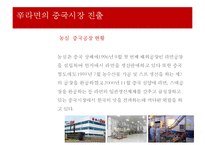 농심 신라면의 중국시장 마케팅전략-7