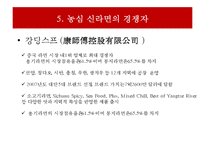 농심 신라면의 중국시장 마케팅전략-8