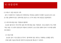 농심 신라면의 중국시장 마케팅전략-16
