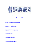 [한국남부발전-공채합격합격자기소개서]한국남부발전자기소개서,남부발전합격자기소개서,한국남부발전자소서,남부발전합격자소서,자기소개서,자소서,입사지원서-2