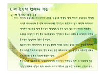 벼의 줄기의 생장-5