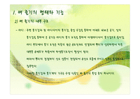 벼의 줄기의 생장-6