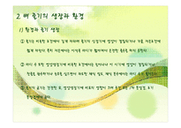 벼의 줄기의 생장-10