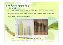 벼의 줄기의 생장-13
