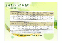 벼의 줄기의 생장-15