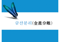 금산분리(金産分離)-1