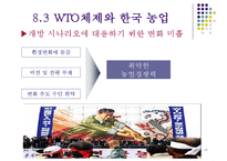 한국의 농업과 향후 발전방안-10