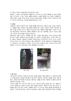 [한옥] 한옥의 종류와 특성-7