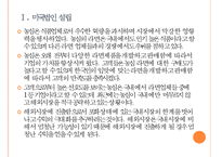 [농심]농심의 경영전략-해외시장 진출 PPT자료-4