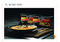 [농심]농심의 경영전략-해외시장 진출 PPT자료-9