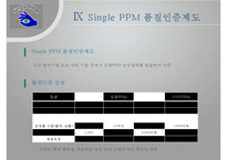 싱글PPM에 대해, Single PPM, 싱글 PPM 사례, 품질관리, 싱글PPM 개념, 목적, 장단점, 성과, 6단계, 과제-17