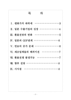 [환율전쟁]엔화약세로 인한 영향과 전망 보고서-2