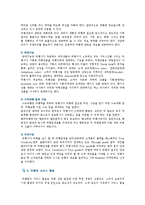 [여행업] 여행업의 종류와 과제-7