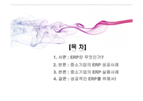 중소기업의 ERP 구축사례와 시사점-2